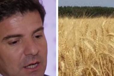 Afirman que productores empezaron a retener trigo por la incertidumbre cambiaria