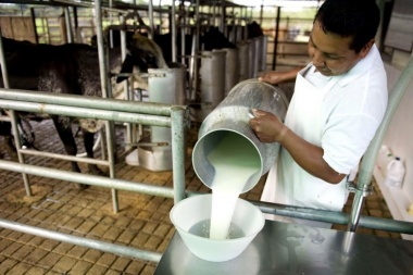 El precio de la leche al tambero aumentó cerca de un 50% en lo que va del año