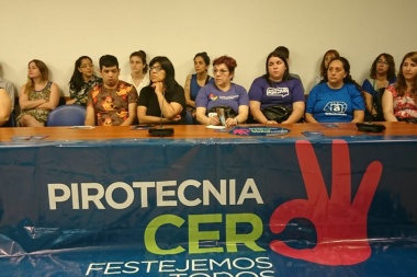 Empujan desde el Congreso un proyecto de ley que regula la pirotecnia