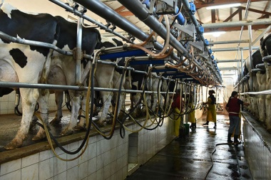 La producción de leche caerá 33% este año y será la más baja de la década