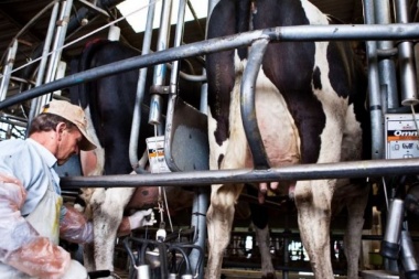 Bajó el consumo de leche y la producción anual será menor que el 2020