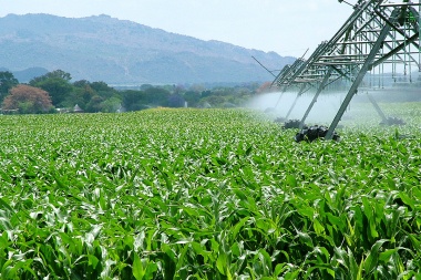 Desindustrializando el sector agroindustrial