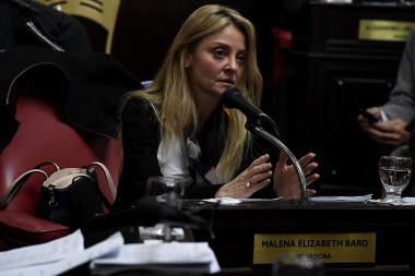 Baro: "A los argentinos nos une el deseo de que Santiago Maldonado aparezca con vida"