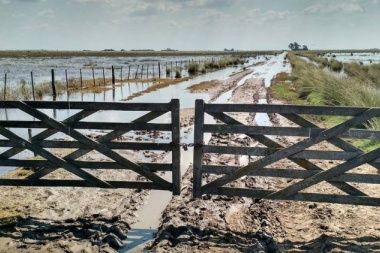 Productores de Trenque Lauquen apuntaron contra Vidal por demorar la emergencia agropecuaria