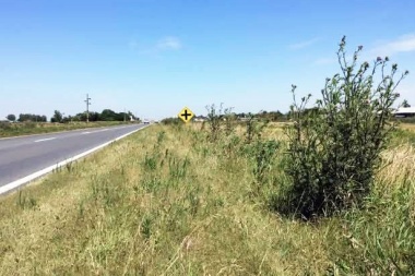 Otro intendente de la cuarta reclamó por pastizales en rutas nacionales