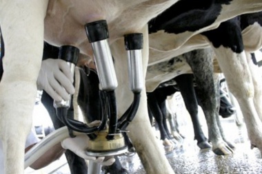 “En alerta y movilización”: Trabajadores de la leche retomarán las protestas