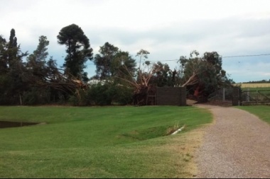 Temporal de viento dejó severos daños en General Villegas