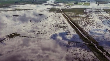Ruralistas de Junín en alerta por el agua que ingresa desde Santa Fé a Buenos Aires