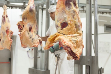 Bajan 30% el precio de la carne: asado a $1.035 y vacío a $1.351