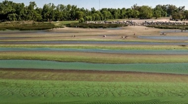 Una laguna de Chacabuco y otra de Alem afectadas por cianobacterias