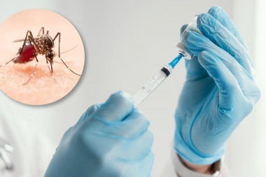 Piden a Salud de nación y provincia que incluya a Junín en la vacunación contra el dengue