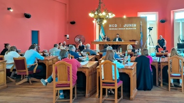 Por mayoría, concejales juninenses repudiaron declaraciones de Milei en Davos