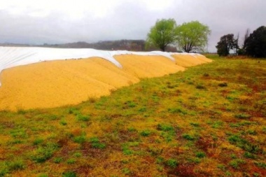 La Rural de Chivilcoy denunció "ribetes políticos" detrás de la rotura de silo bolsas