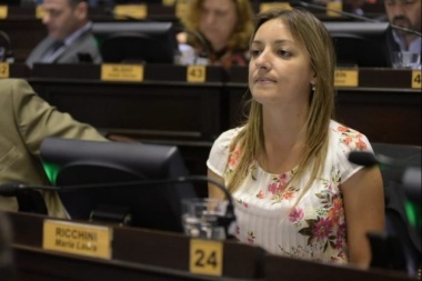 Ricchini y Alonso permanecerán en el bloque PRO