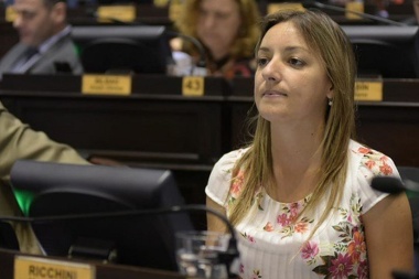 Diputada PRO planteó "reconfiguración" y "unión de fuerzas" en la provincia