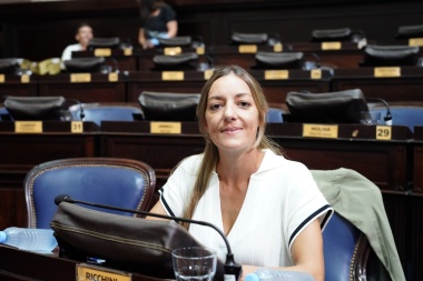 "Hace un mes y medio tenemos una Legislatura frenada por internas del oficialismo"