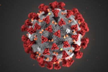 25 nuevos contagios elevan la cifra a los 393 casos activos de coronavirus en Junín