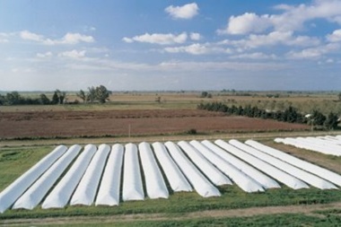 La Rural de Junín dijo que "el productor no especula" pero reclamó por la "incertidumbre económica"