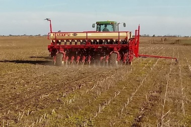 Afirman que la siembra de trigo ya cubre el 87% de la superficie proyectada