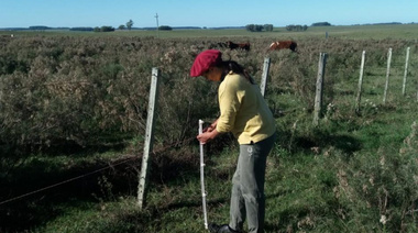 RENATRE anunció aumentos de la prestación por desempleo para trabajadores rurales
