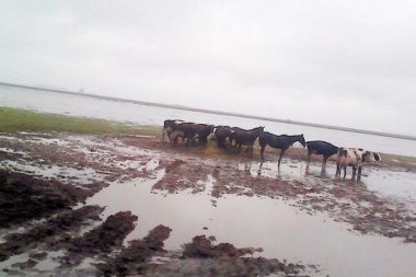 Informan que la provincia avanza con "tareas menores" en Villegas