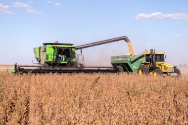 Sin dólar soja, agroexportadores liquidaron en enero un 75% menos