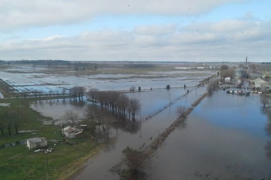 Carbap pide celeridad de emergencia para productores afectados por el agua