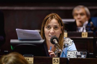 Arata: “En términos técnicos, es el mejor presupuesto de los últimos años”