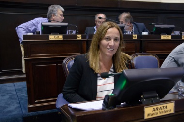 Arata: “hay que conformar un espacio amplio, plural, moderno, opositor a este gobierno”