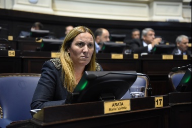 Arata apuntó a Cambiemos por "evitar" las discusiones de “leyes importantes”