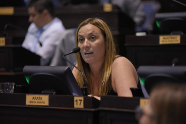 "Petrecca es Macri", criticó Arata al intendente de Junín