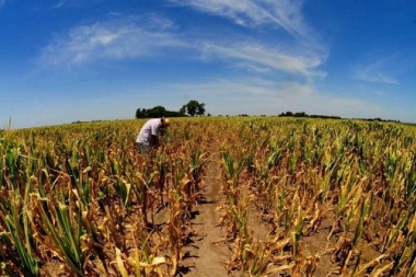 Productores de 9 de Julio piden a Barroso que apure gestiones por emergencia