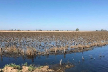 El Gobierno formalizó la emergencia agropecuaria para trece distritos del interior
