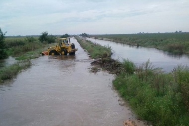 Seis distritos de la cuarta sección declarados en emergencia agropecuaria