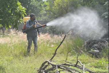 Caen los casos de dengue y dos municipios dan por finalizado el brote