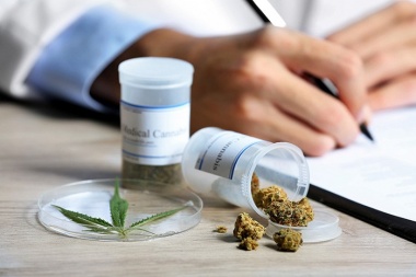 Chacabuco busca debatir el cultivo de cannabis con fines medicinales