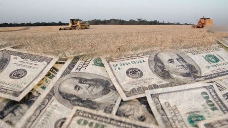 Objetivo Massa: controlar el dólar, reducir déficit  y sumar reservas