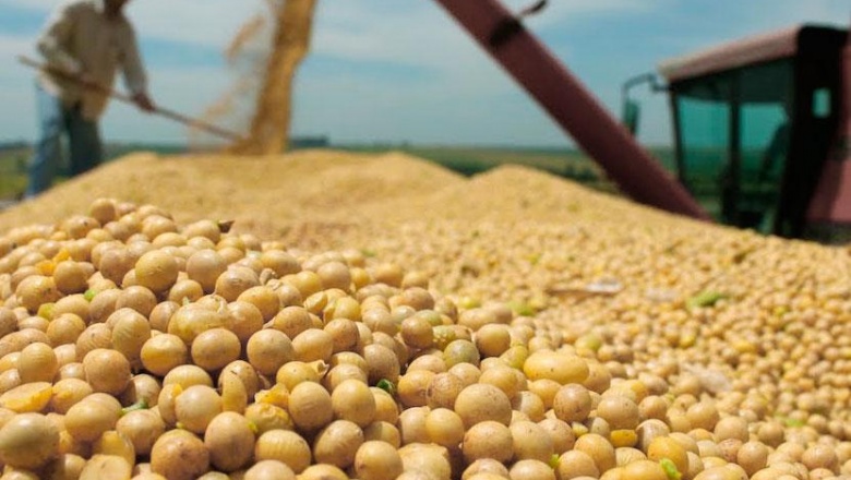 Bragado: La AFIP secuestró mas de 100 toneladas de soja sin declarar