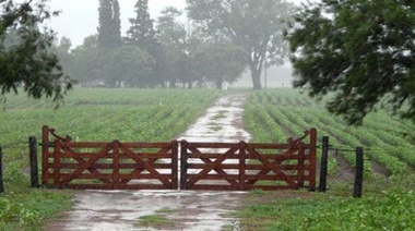 Las lluvias mejoraron las perspectivas del campo en toda la provincia
