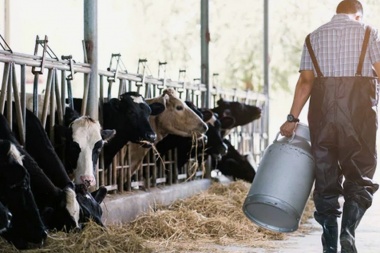 La producción nacional de leche cayó 2% en 2023