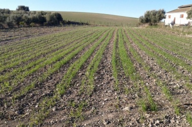 Estiman una primavera sin lluvias y bajas temperaturas