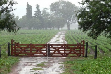 Las lluvias mejoraron las perspectivas del campo en toda la provincia