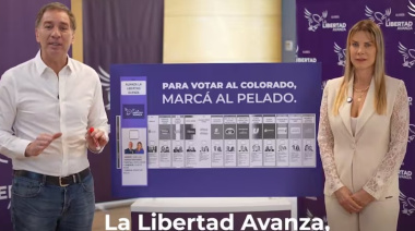 Desde LLA minimizan el impacto de la boleta con la imagen de Espert: "queremos discutir ideas"