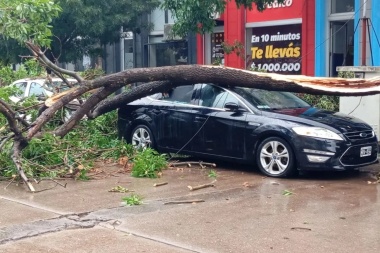 Una tormenta generó daños e inconvenientes en Bragado y 9 de Julio