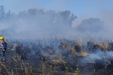Preocupan incendios forestales en la región: otro de magnitud en Naón