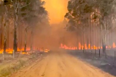La UCR Junín criticó al gobierno nacional ante el incendio en Corrientes: "dónde está?"