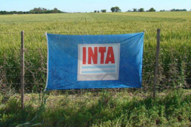 INTA: modernización o vaciamiento
