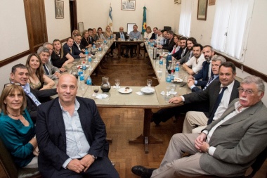 Roberto Costa presidirá el Bloque de Senadores Cambiemos