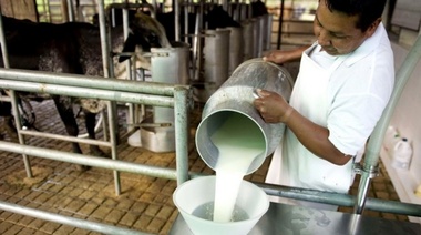 El precio de la leche al tambero aumentó cerca de un 50% en lo que va del año