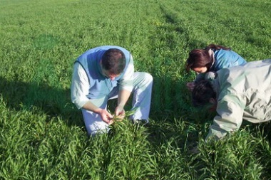 Crean un registro de agropymes para asistir al sector agropecuario